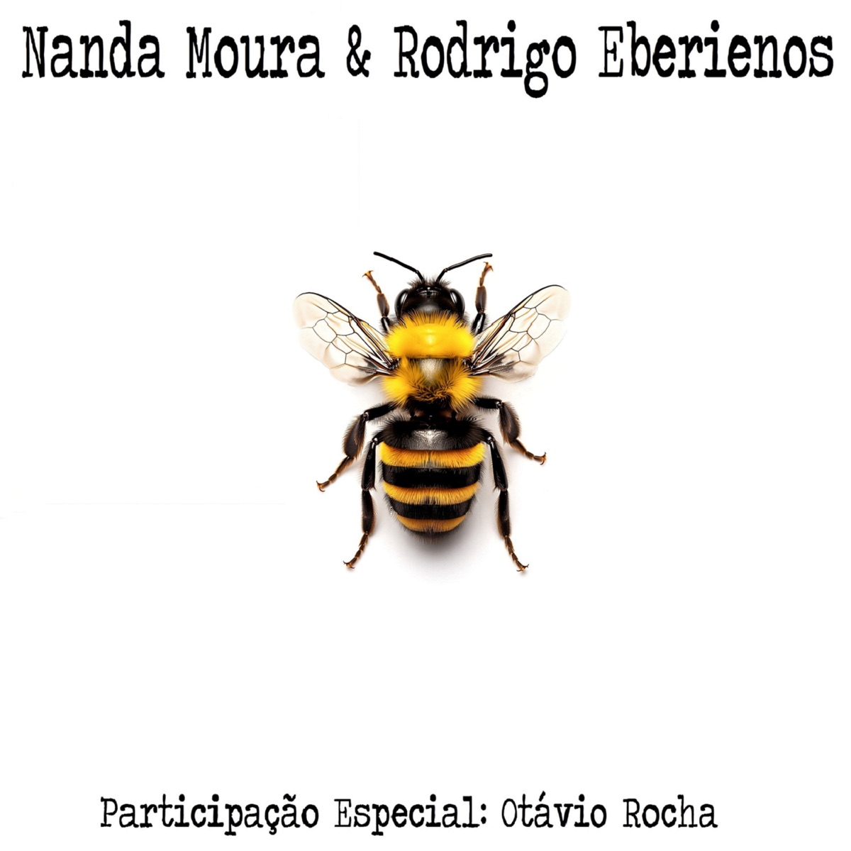 Bumble Bee — Nanda Moura & Rodrigo Eberienos